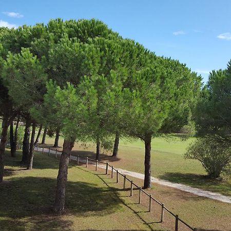 Vert Paradis - Vue Apaisante Sur Golf, Pins Parasols, 2E Etage - 80 M2 Dont Terrasse Avec Pergola, 2 Chambres, 3Et Iles, 3 Clim, Wifi - Piscine, Parking Et Park A Velos, Ascenseur - En Option Linge, Menage - Pistes Cyclables, Mer A Proximite Saint-Cyprien  Exterior photo