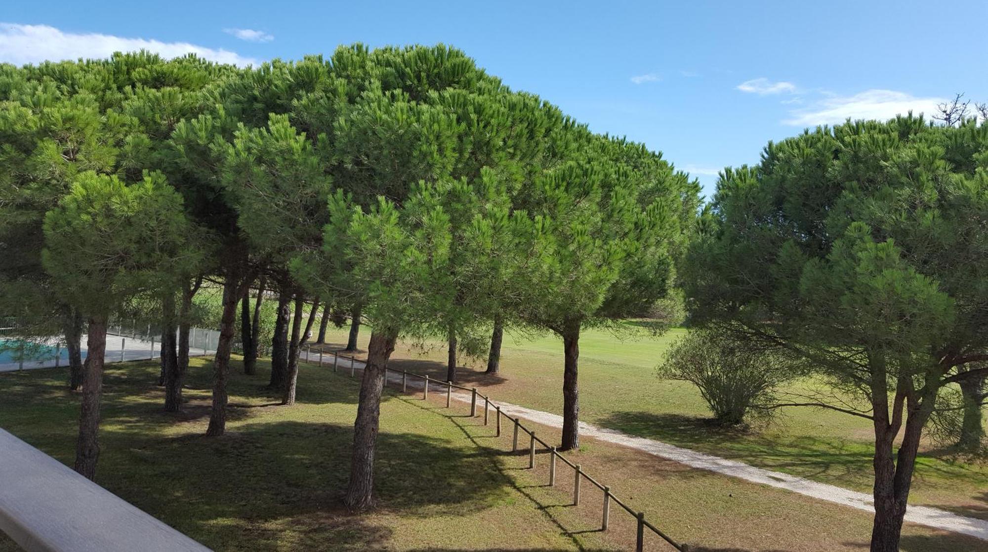 Vert Paradis - Vue Apaisante Sur Golf, Pins Parasols, 2E Etage - 80 M2 Dont Terrasse Avec Pergola, 2 Chambres, 3Et Iles, 3 Clim, Wifi - Piscine, Parking Et Park A Velos, Ascenseur - En Option Linge, Menage - Pistes Cyclables, Mer A Proximite Saint-Cyprien  Exterior photo